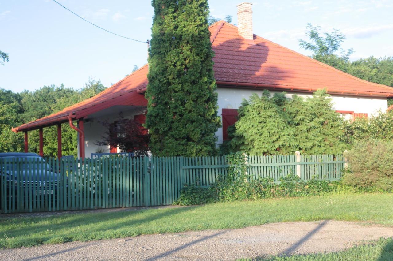 Nagymajor Birding Tiszacsege